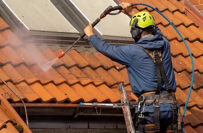Démoussage et hydrofuge de toiture au Bourget